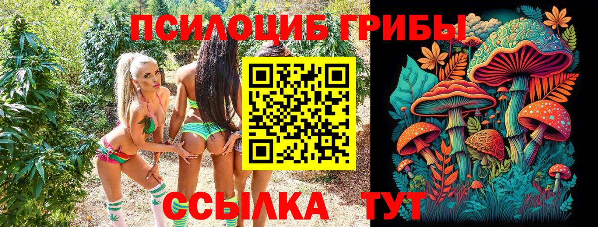 Псилоцибиновые грибы MAGIC MUSHROOMS Шатура