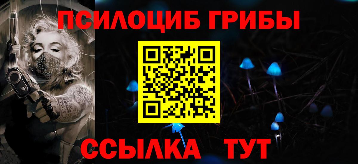 Шатура  Псилоцибиновые грибы ЛСД  Вход с VPN 